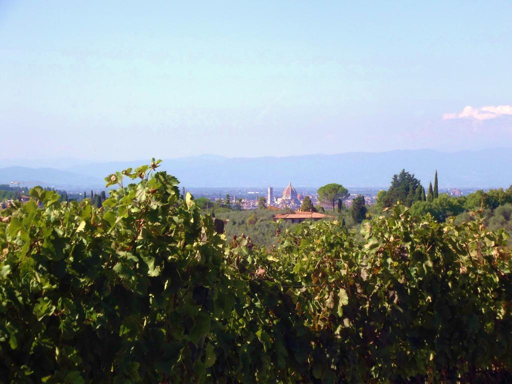 Le Civette Country Resort Bagno A Ripoli Exterior photo